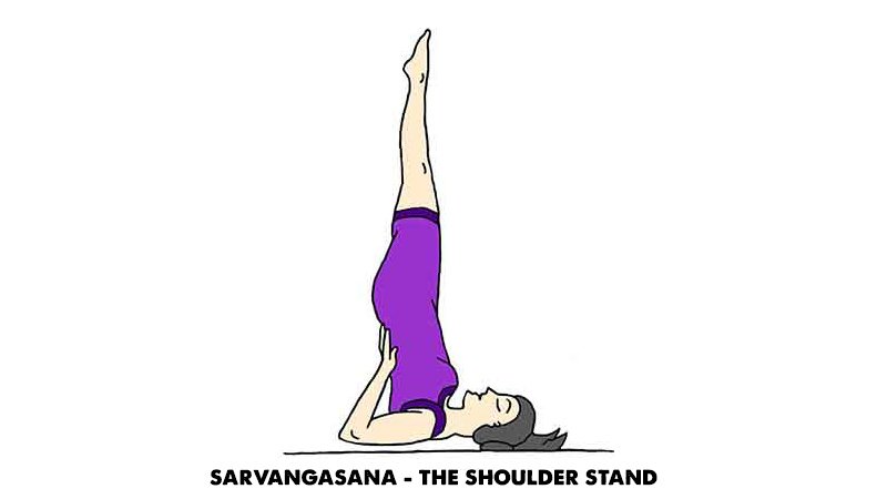 Sarvangasana -The shoulder stand