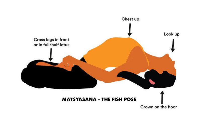 Matsyasana - The Fish pose