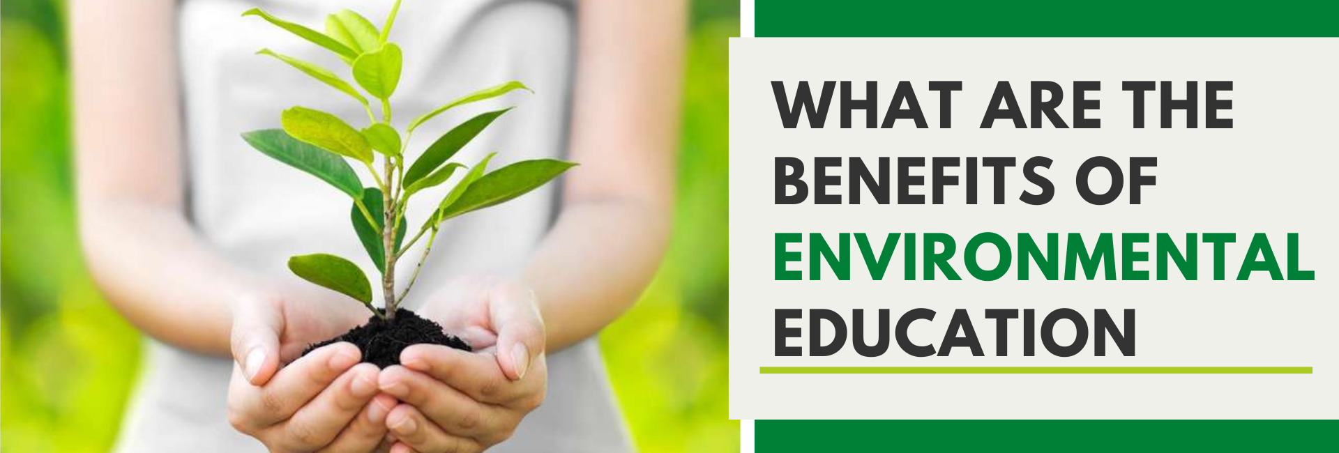 What Are The Benefits Of Environmental Education