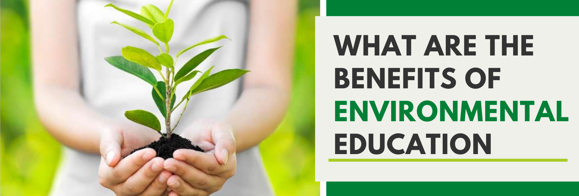  A photo of a person holding a plant in their hands with the text 'What are the benefits of environmental education?'