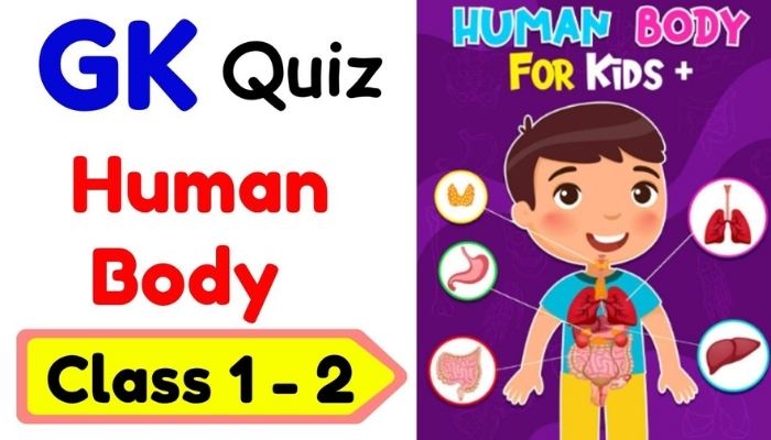  Human Body