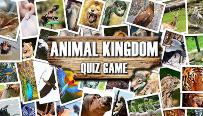 The Animal Kingdom